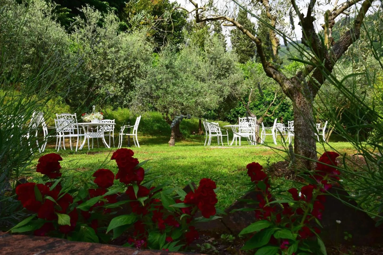 The garden among the olive trees at Mulino La Sosta